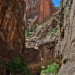In The Narrows of Zion Canyon