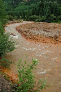 Red Mountain Creek, Ironton Park, CO. I guess that's iron staining the rocks.