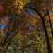 Fall colors Minnesota