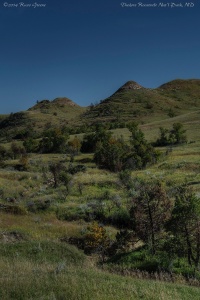 Scenery along the Lewis Creek trail, Theodore Roosevelt National Park, ND