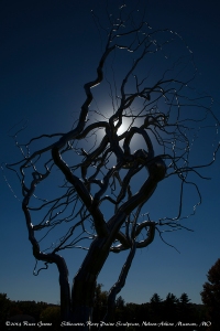 Tree sculpture silhouette