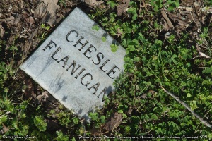 Chesle Flanigan's Grave