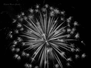 In black and white this shot of fireworks kinda looks like a dandelion, doesn't it?