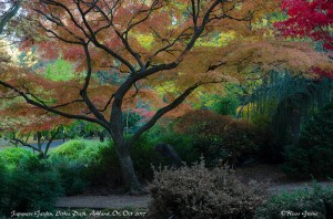 Japanese Garden, Lithia Park, Ashland, OR.