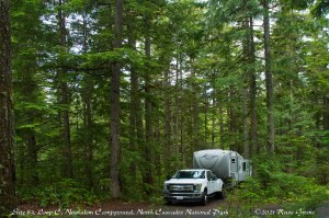 Site C 83, Newhalem Campground